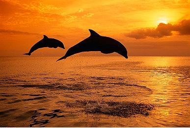 《堡垒之夜》联动《绝地战警》 威尔·史密斯登场